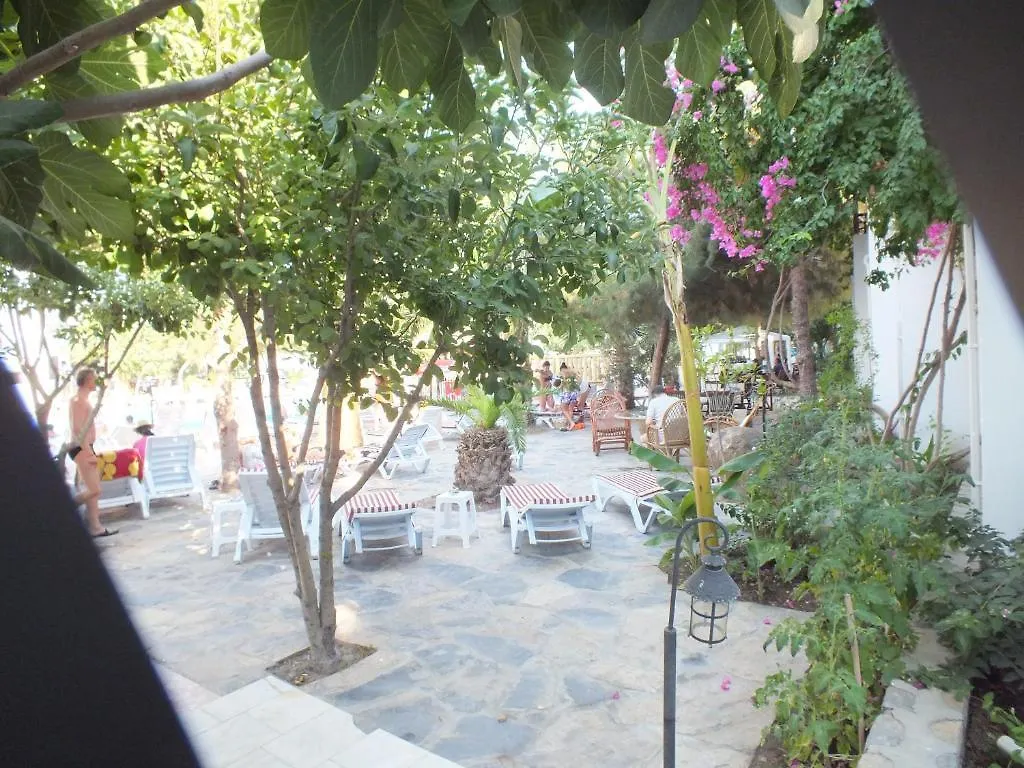Summer Sun Beach Hotel Ortakentyahşi