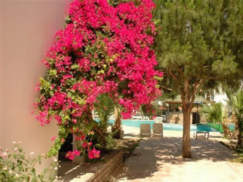 ****  Summer Sun Beach Hotel Ortakentyahşi Türkei